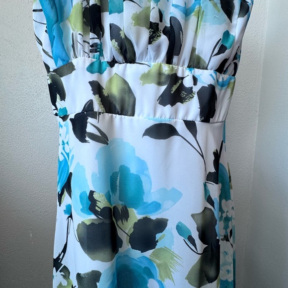 CB Established 1962 Floral Chiffon Dress Lined Sleeveless Party SZ 18 W - Picture 4 of 13